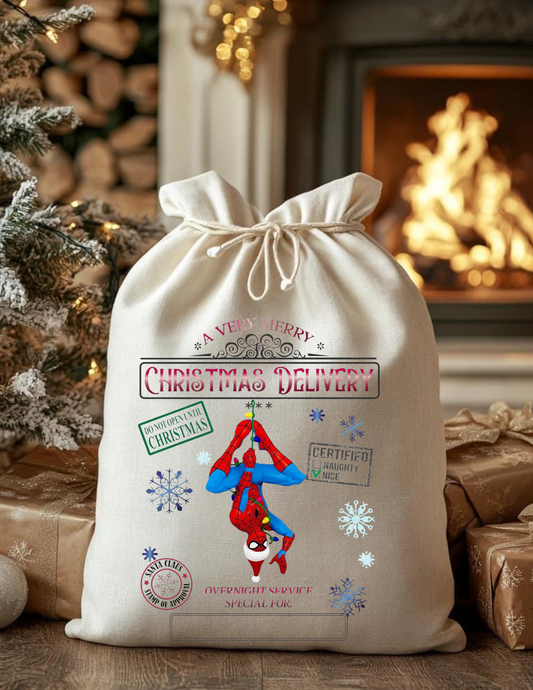 Boy Spider Santa Sack